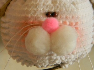 Closeup of bunny face.