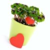 Potted four leaf clover with red hearts.