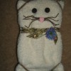 Finished cat towel.