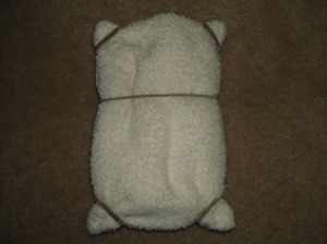 Bands in place for ears and feet.