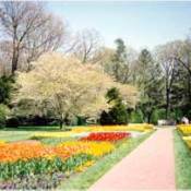 garden Club