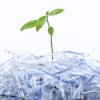 Uses for Shredded Paper, shredded paper