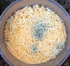 grated cheese that has developed mold.