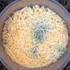 grated cheese that has developed mold.