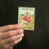Collecting Sports Cards