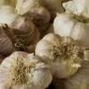 Garlic bulbs