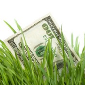 mowing grass make money