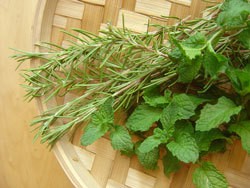 Herbs