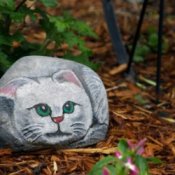 rock painted like cat
