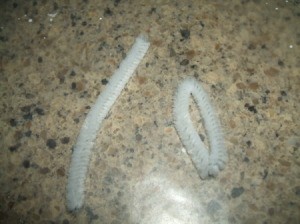 Making chenille ears.