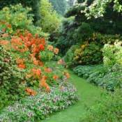 Beautiful Garden Path