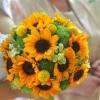 Bouquet of sunflowers.