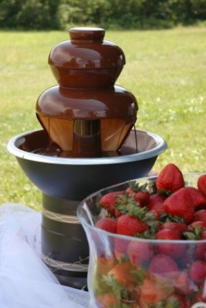 Chocolate fountain at a wedding.