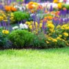 multicolored flowerbed on a lawn