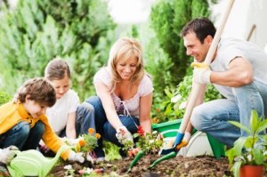 Family Making Flower Beds