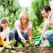 Family Making Flower Beds