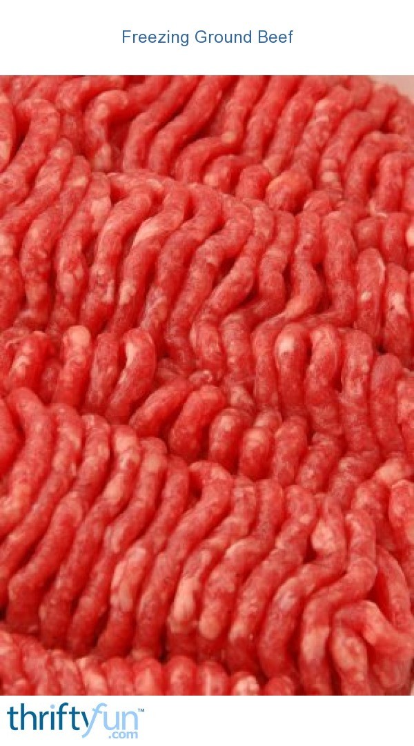 Freezing Ground Beef ThriftyFun