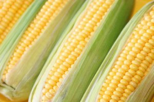 Freezing Corn