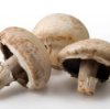 Freezing Mushrooms