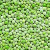 Freezing Peas, Frozen Peas