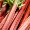Freezing Rhubarb