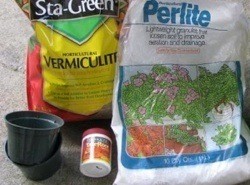 Potting supplies.