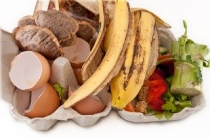 Photo of foodready to compost.