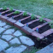 Brick herb garden.