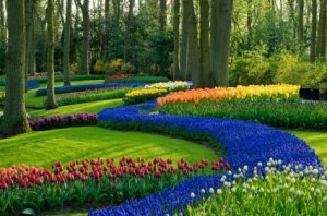 carpet bedding tips and tricks