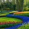 carpet bedding tips and tricks