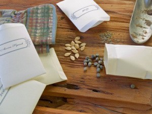 Dry Seeds