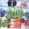 Garden Window Ideas