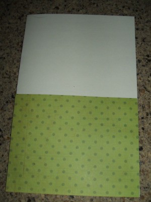 Green scrapbook paper on bottom half of card.