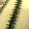 Beading Basics