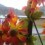 Decorate Patios With Artificial Flowers