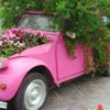 An old car with flowers planted in it.