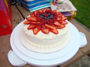 Fruit Topped Cake