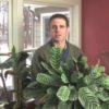 Finding Great Plants for Low Indoor Light