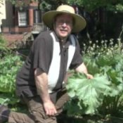 How to Grow a Vegetable Garden