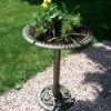 Turning a birdbath into a planter.
