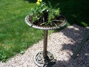 Turning a birdbath into a planter.