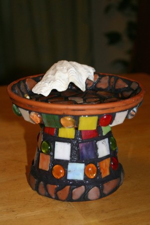 butterfly feeder 5