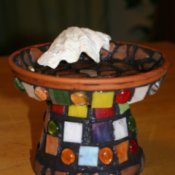 butterfly feeder 5