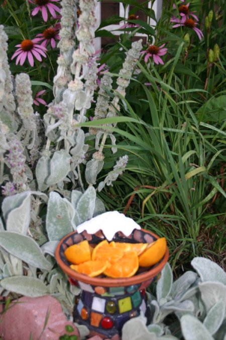 Homemade butterfly feeder in a garden.
