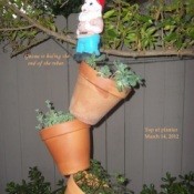 Tipsy Flower Pots (The Path Garden) - close up