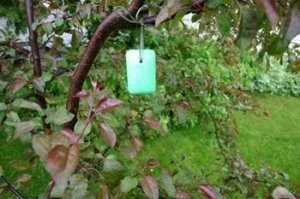 A bar of Irish Spring soap to deter pests.