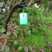 A bar of Irish Spring soap to deter pests.