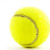 Tennis Ball on White Background