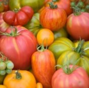 Heirloom Tomatoes
