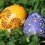 Decorated Easter Eggs in Grass